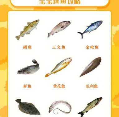 一岁半第三代代孕宝宝吃什么鱼